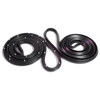 Molded Front Door Seals, with Clips For Chevrolet Chevy II 1962-1967; LM 20-L
